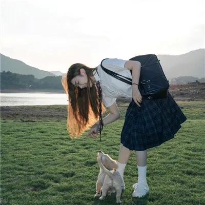 我的老板是小猪 海报